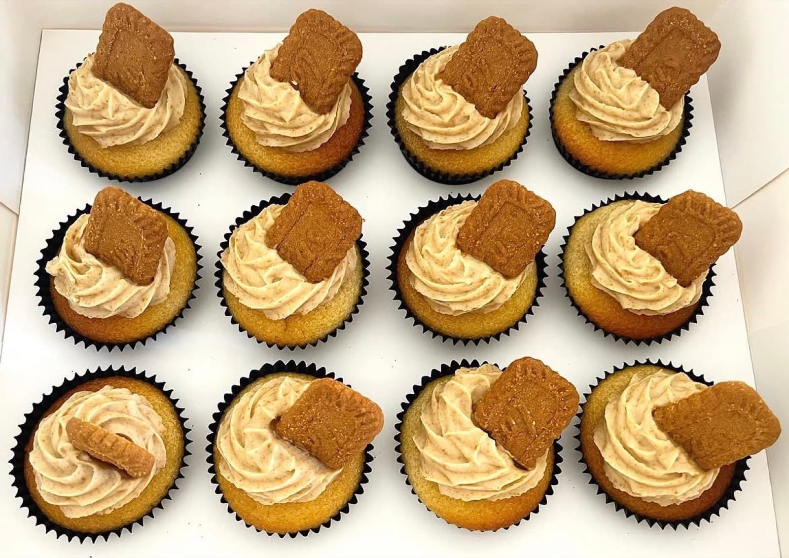 Vanilla cupcakes with Biscoff buttercream and a Lotus biscuit