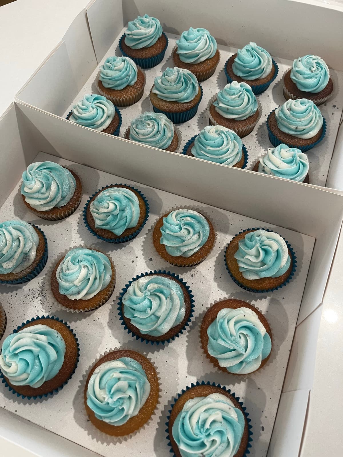 Blue and white swirled buttercream cupcakes