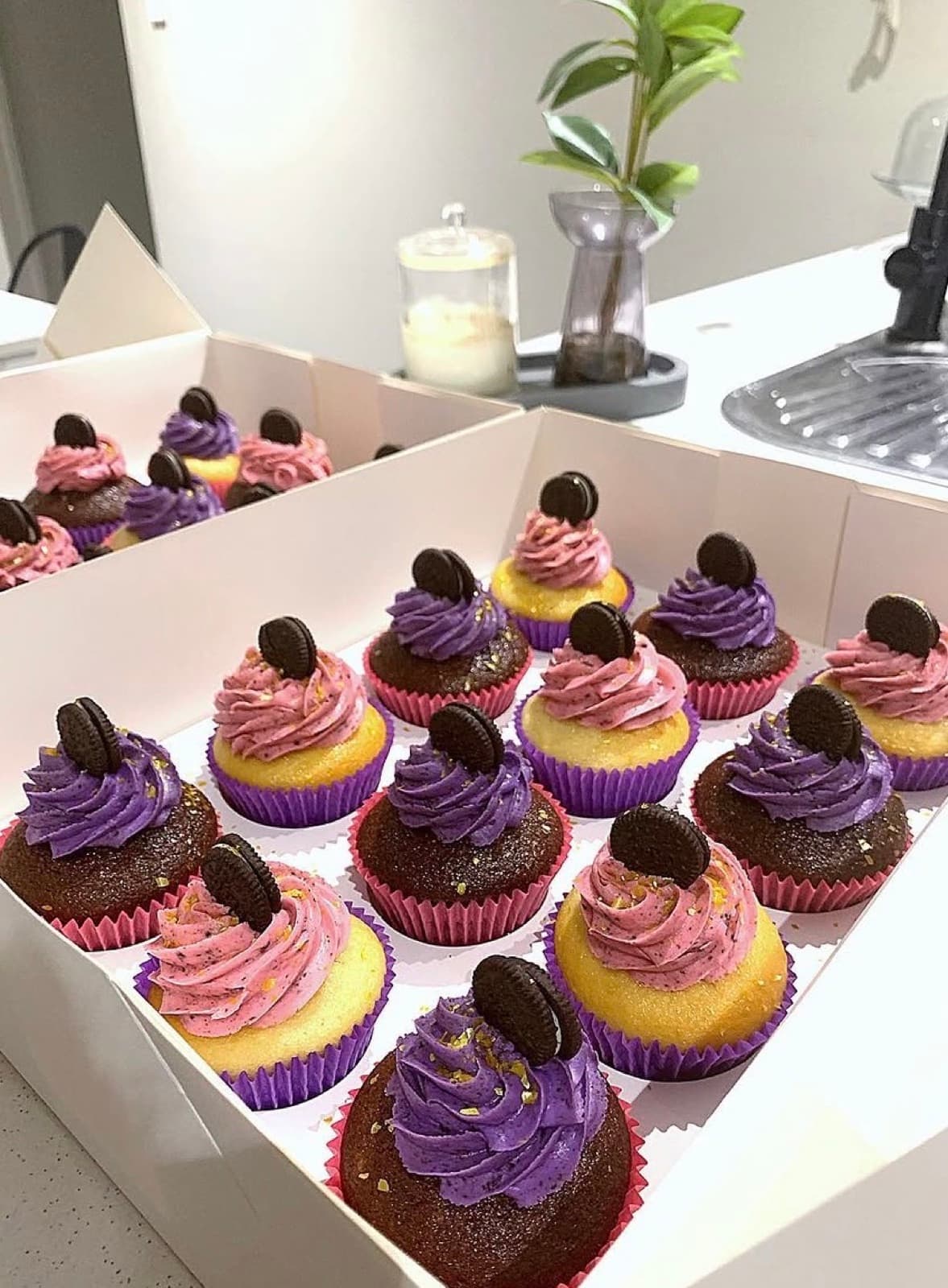 Pink and purple Oreo cupcakes presented in a gift box